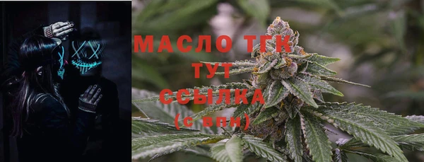 дживик Бронницы