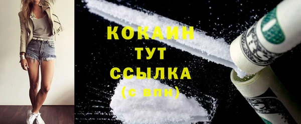 дживик Бронницы