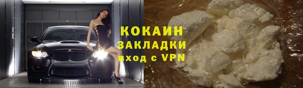 дживик Бронницы