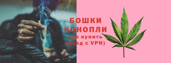 прущие грибы Снежногорск