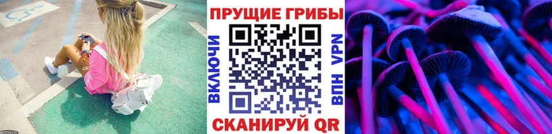 даркнет сайт  Наволоки  Галлюциногенные грибы прущие грибы 